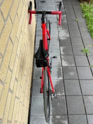 IMG_2183.jpeg