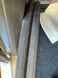IMG_3956.jpeg