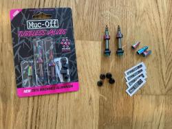 IMG_4516.JPEG