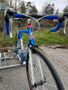 IMG_4884.jpeg