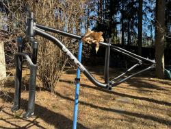 IMG_5907.jpeg