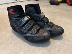 IMG_6245.jpeg