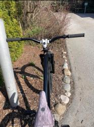 IMG_7298.jpeg