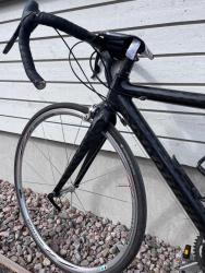 IMG_7370.jpeg