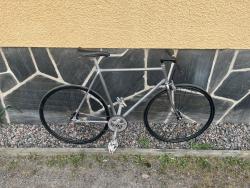 IMG_7899.jpeg