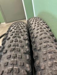 IMG_9507.jpeg