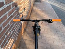 IMG_9703.jpeg