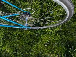 HigginsWheel.jpg