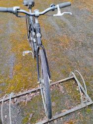 IMG-20250506-WA0011.jpg