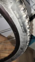 IMG20250502072034.jpg