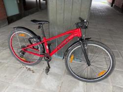 IMG_0124.jpeg