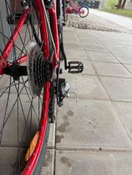 IMG_0128.jpeg