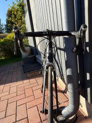 IMG_0250.jpeg