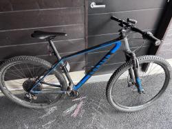 IMG_0294.jpeg