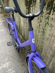 IMG_0310.jpeg