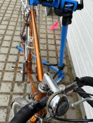IMG_0867.jpeg