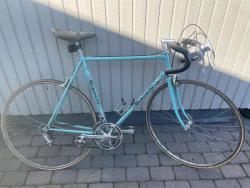 IMG_1007.jpeg