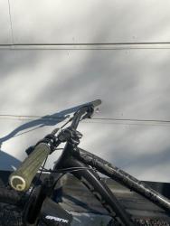 IMG_1181.jpeg