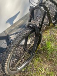 IMG_1183.jpeg