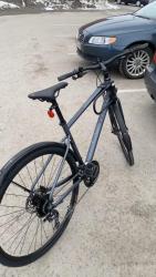 IMG_1208.jpeg