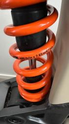 IMG_1255.jpeg