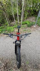 IMG_1274.jpg