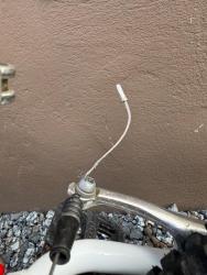 IMG_1382.jpeg