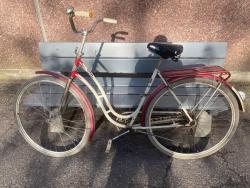 IMG_1444.jpeg