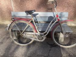 IMG_1446.jpeg