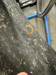 IMG_1512.jpeg