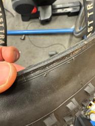 IMG_1513.jpeg