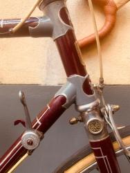 IMG_1520.jpeg