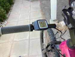 IMG_1677.jpeg