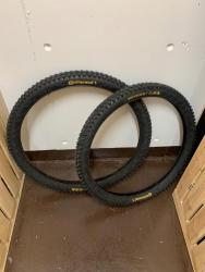 IMG_1781.jpeg