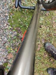 IMG_20241113_125058.jpg