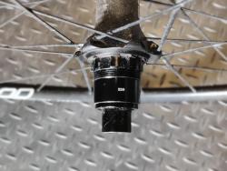 IMG_20250525_095745_Bokeh.jpg