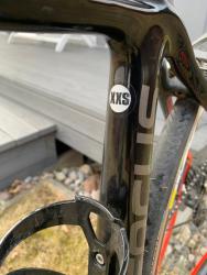 IMG_2038.jpeg