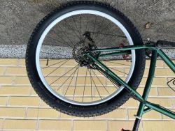 IMG_2047.jpeg