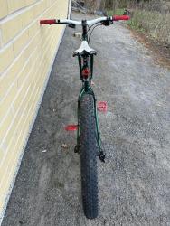 IMG_2053.jpeg