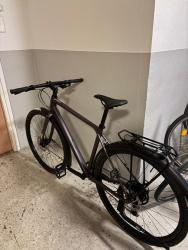 IMG_2053.jpeg