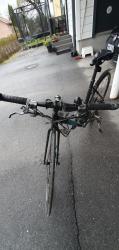 IMG_2092.jpeg