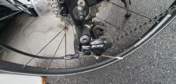 IMG_2094.jpeg