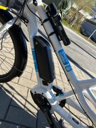 IMG_2116.jpeg