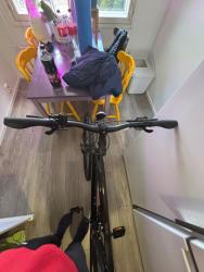 IMG_2117.jpeg