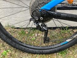 IMG_2245.jpeg