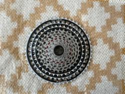 IMG_2312.jpeg
