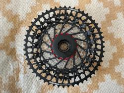 IMG_2314.jpeg