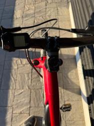 IMG_2325.jpeg