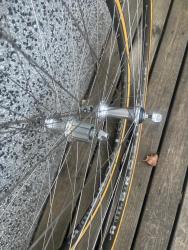 IMG_2441.jpeg