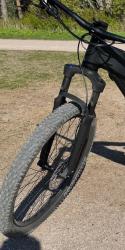 IMG_2475.jpeg